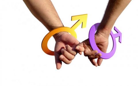 美国科学家探究男同性恋遗传联系