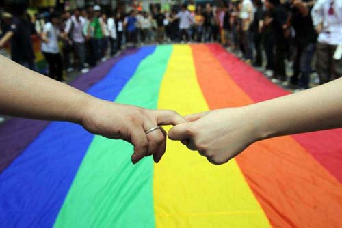 260万澳大利亚人参与同性婚姻合法化公投"